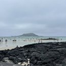 미영목장2 이미지