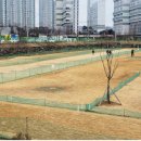 정촌 파크골프장 이미지