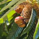 밝은농장 이미지