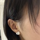 나요;꽃
