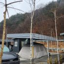 자작나무뜰 오토캠핑장 이미지