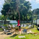 고캠프홈 이미지