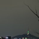 카페프리헷종로무악점