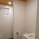 제주애아리 이미지