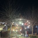 금은모래 캠핑장 | 여주 금은모래캠핑장 근처 카페 ‘연양정원’ 내돈내산 후기 (이전 방문 후기 포함)