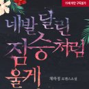 채하정 이미지