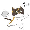 육군훈련소23연대