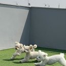 프릿토핏 이미지