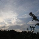 하늘아래첫농장 이미지