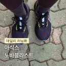 럭스 | 아식스 노바블라스트 럭스 후기｜런린이 러닝 입문용 러닝화로 왜 인기인지