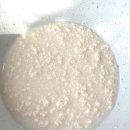 물고을 | 속초 순두부 맛집 옛고을순두부 추천 얼큰순두부와 초당순두부 먹어본 후기