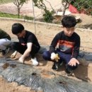 의당초등학교 이미지