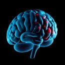 우리기전 이미지