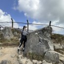 센텀동국아파트(장산동국) | 해운대 장산 동해선 센텀역 법계사 동국아파트 등산코스 난이도 소요시간 카카오맵 등산로