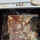 통영낚시