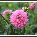 우림농원 이미지