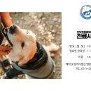 인덕원동물의료센터 이미지