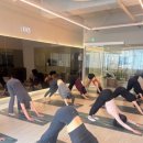 [초급] 생활요가 | 인하대역 요가 빈야사·아쉬탕가·하타·척추리셋까지 내 몸에 딱 맞는 프로그램, 한 번에 찾아보세요