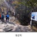 11월7일(목요일) 정읍 내장산(763m) 8봉 단풍산행 이미지