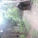 상관편백숲 쉼터 이미지