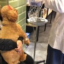 구미 JM 동물 메디컬 센터 이미지