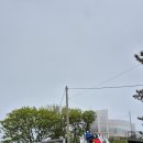 백령토산품 - 옹진군 백령로278번안길 13-13 | 백령토산품