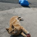 GS25 춘천효제점 이미지