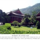 비단길