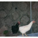 강화바다 이미지