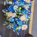 라이프트리 | 봉천동꽃집 라이프트리 2호점 가격 위치 영업시간