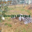 태성 행정사사무소 이미지