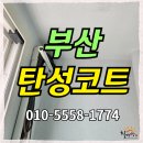대신롯데캐슬아파트경로당 | 부산탄성코트 대신롯데캐슬 실리카진주 후기