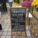 남평초교 | 광주 근교 전남 가을 여행지 추천 나주 남평 은행나무수목원 후기