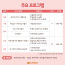 노금영패션라인 이미지