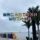 남양몽돌 | 울릉도여행 무료 해수풀장 5개소 개장 아이랑 공짜