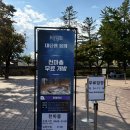 대릉원 | 경주 대릉원 천마총 낮과 밤, 무료입장 기간•미디어아트 &#39;대릉원 몽화&#39; 후기.