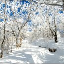 ♧ 2월 8일(토) 지리산이 보이는 남녁의 최고봉! 광양 백운산 ♧ 이미지