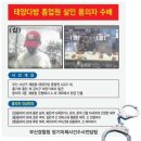 태양다방 이미지