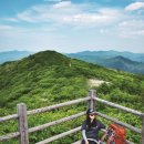 심산유곡 앞 네이버블로그