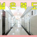 예솔 이미지