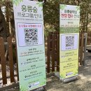 수목원맛쌈밥 | 서울 동대문구 이색 데이트 및 아이들과 뜻깊은 시간 홍릉숲 탐방 홍릉시험림 숲길 체험 예약 방법 및...