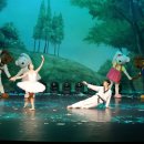 비바츠LED 태권발레 이미지