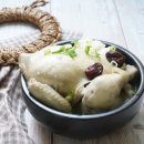 테라피티 이미지