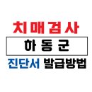 하동군치매안심센터 | 하동군 치매검사 및 치매진단서 발급 방법 / 75세 이상 운전면허증 갱신 및 장기요양보험 /치매 요양...