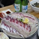 싱싱부평어시장 | 한번만 간 사람은 없는 부평역 1등 활어회 횟집 내돈내산 후기"부평종합어시장"