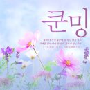 양광여행사