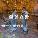 샤인히얼60 | 제주 애월 아이와 가볼만한곳 알레스팜 액션페인팅 축제 솔직후기