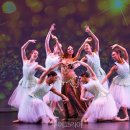 [남부] 라인댄스 B(2025) 이미지