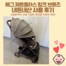 [육아기록] 에그 제트플러스 egg Z plus 밍크 브론즈 내돈내산 사용 후기