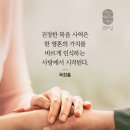 ➕ 에스겔 48:15~22 거룩한 일상을 살아가는 새 언약 백성 이미지